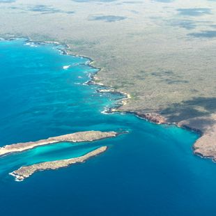 Galapagos Islands image