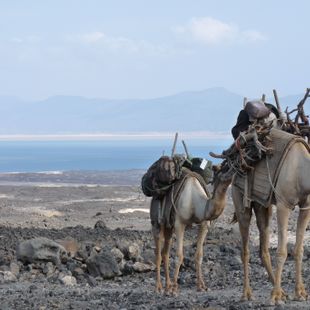 Djibouti image