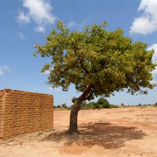 Ouagadougou image