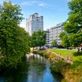 Christchurch city image