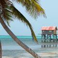 Caye Caulker city image