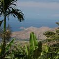 Dili city image