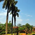 Entebbe city image