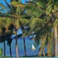 Pemba city image