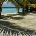 Rarotonga city image