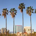San Jose city image