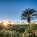 Salta city image