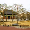 대구광역시 city image