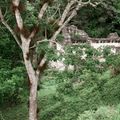 Taksimo city image