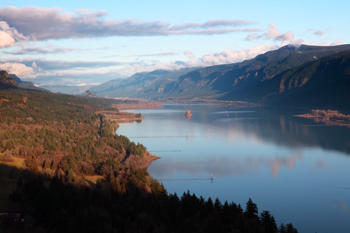 Перейра image