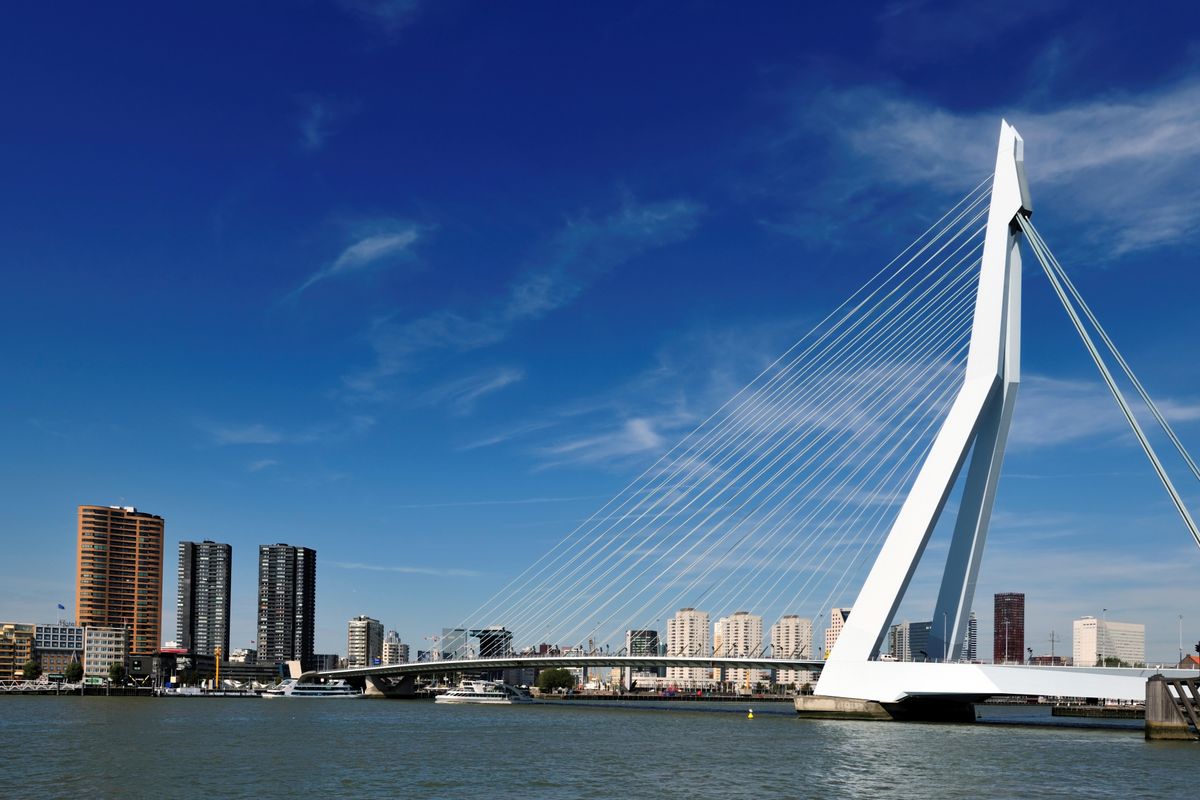 Rotterdam image