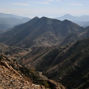 Asmara image