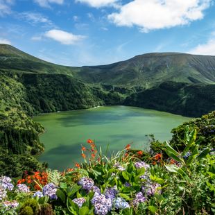 Flores Island image