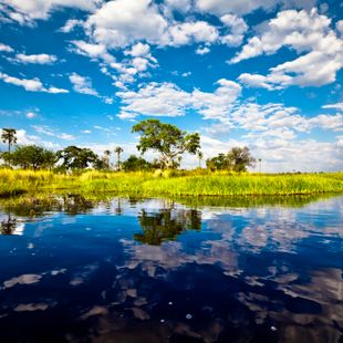 Francistown image