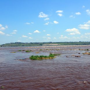 Goma image