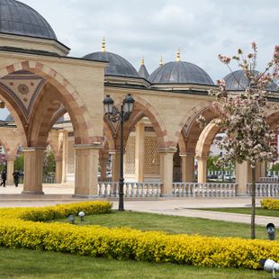 Groznyy image