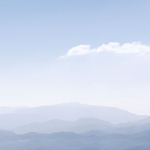 Greenville image