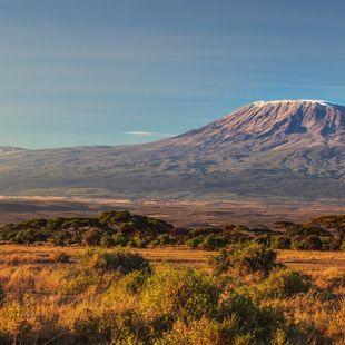 Kilimanjaro image