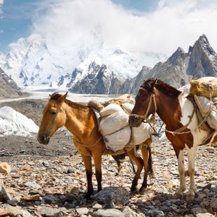 Skardu image