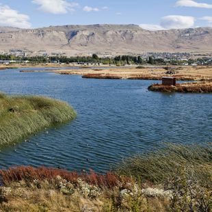 Mendoza image
