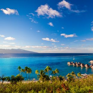 Moorea image