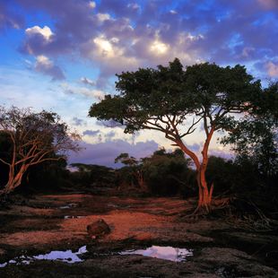 Mtwara image