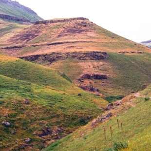 Nukus image