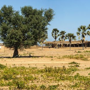 Ndjamena image