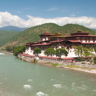 Paro image