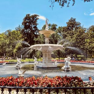 Savannah image
