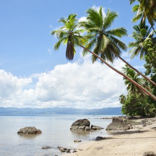 Savusavu image