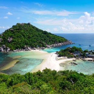 Surat Thani image