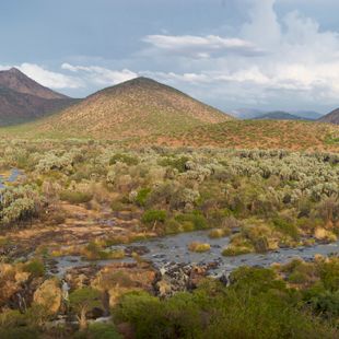 Онджива image