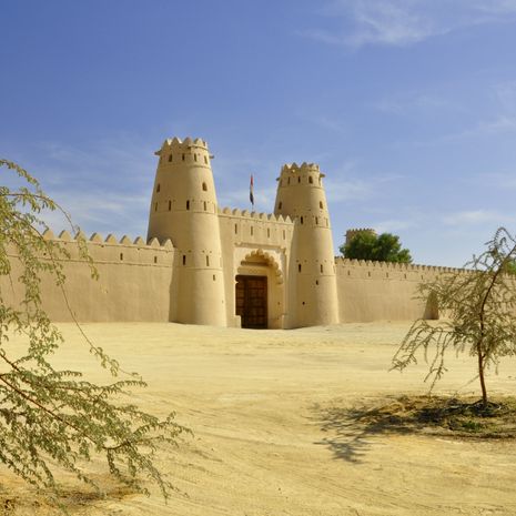 Al Ain image