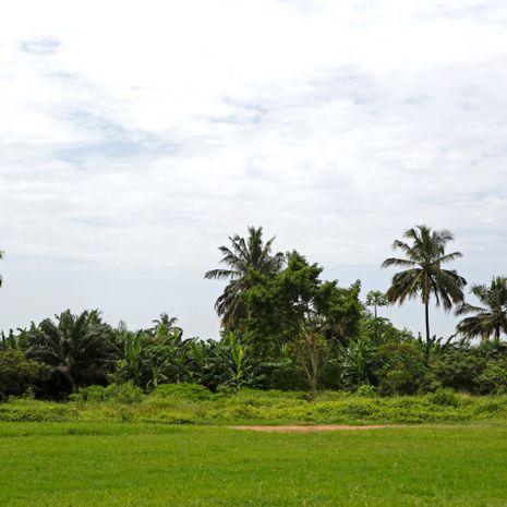 Conakry image