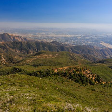 Cali image