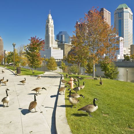 Columbus image