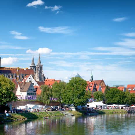 Muenster image