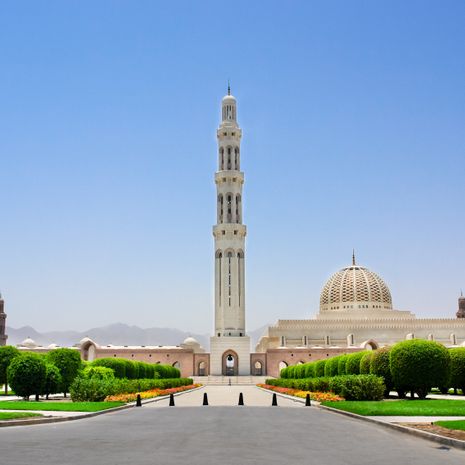 Muscat image