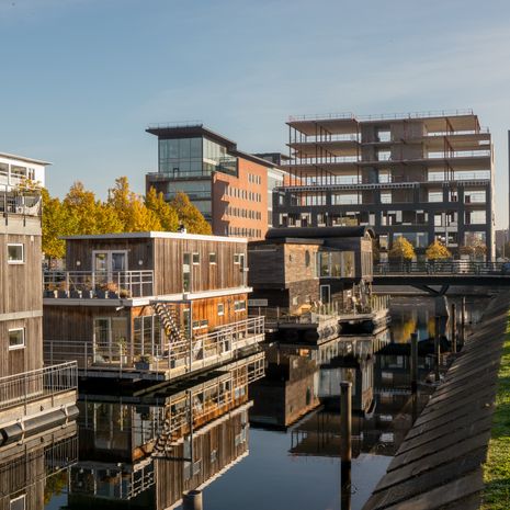 Malmo image