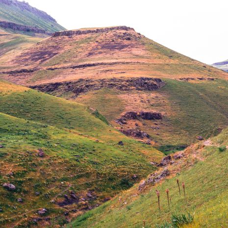 Nukus image