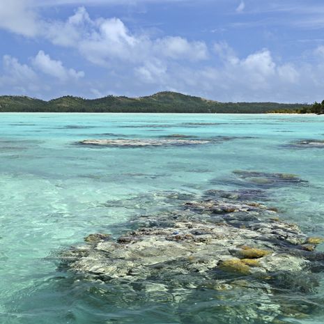 Pohnpei, Caroline Islands image