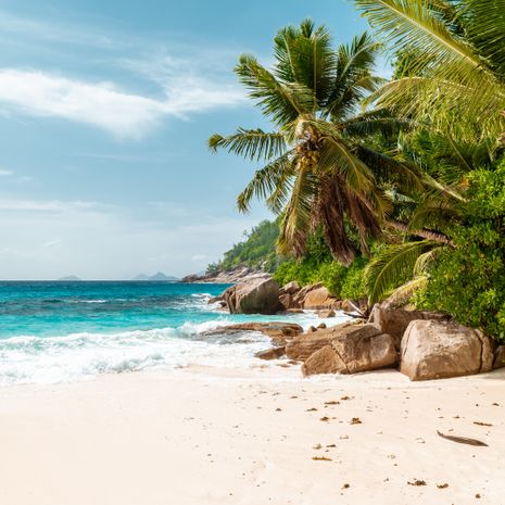 Praslin Island image