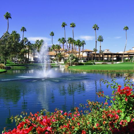 Palm Springs image