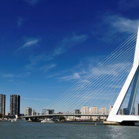 Rotterdam image
