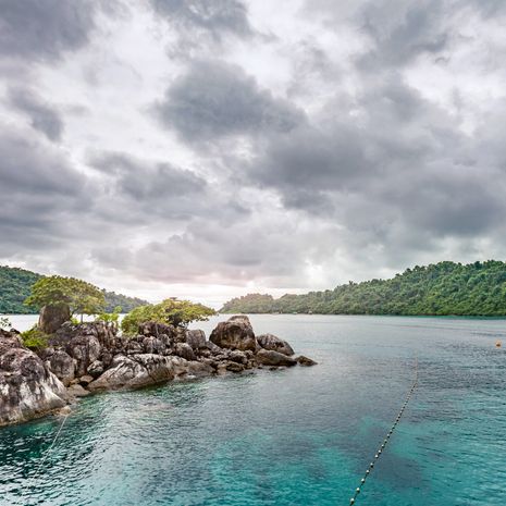 Trat image