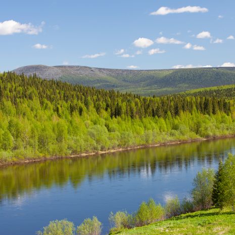 Uralsk image