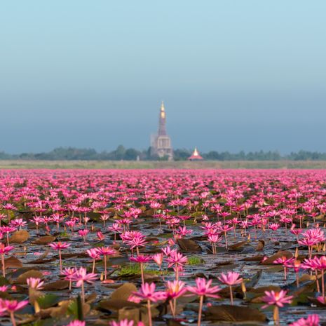 Udon Thani image