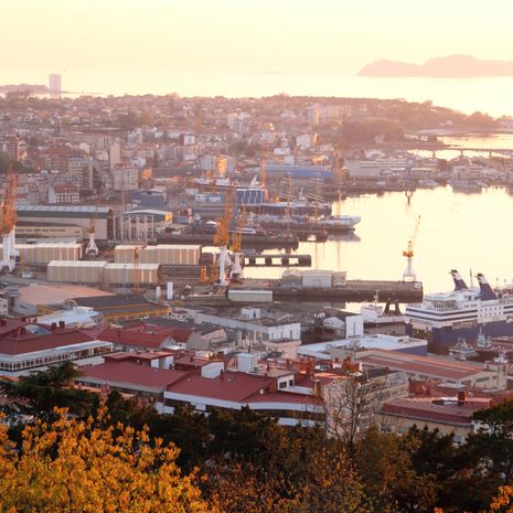 Vigo image