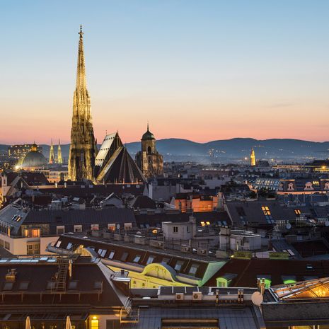 Vienna image